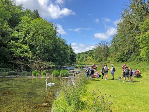 Bakewell > Lathkill Dale: 9mls