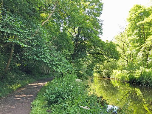 Monsal Head > Litton Mill: 5mls