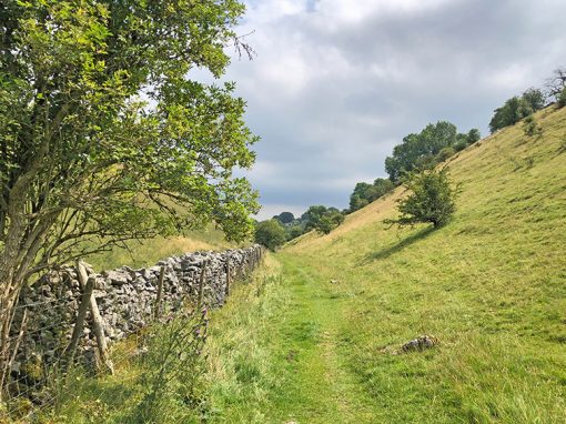 Miller’s Dale > High Dale: 7mls