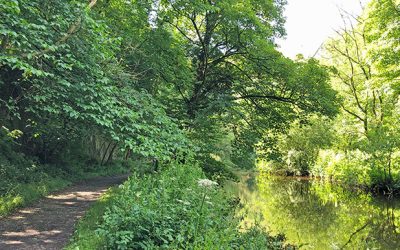 Monsal Head to Litton Mill