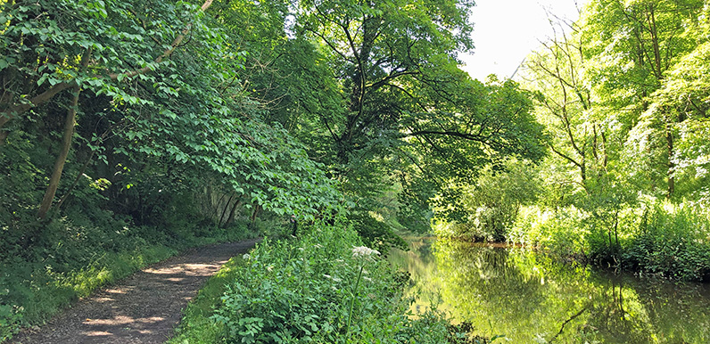 Monsal Head to Litton Mill